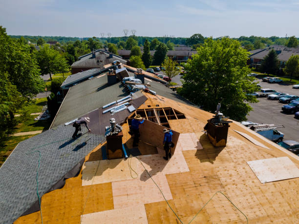Best Storm Damage Roof Repair  in Rugby, ND