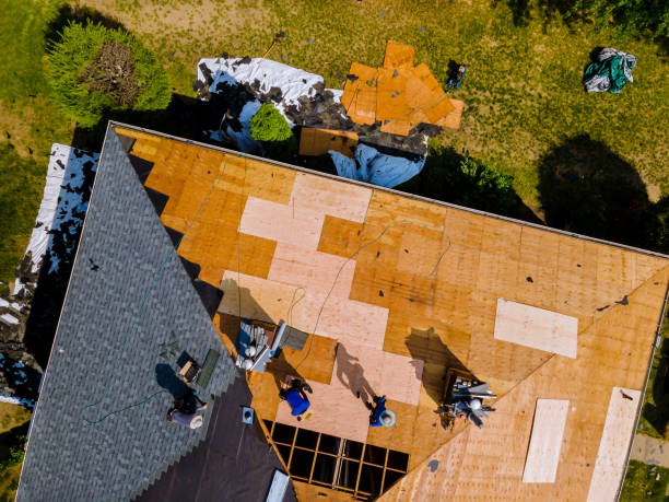 Best Flat Roof Repair Services  in Rugby, ND