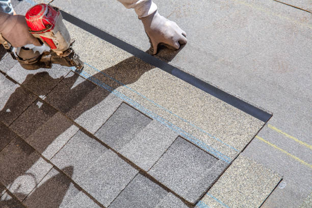 Best Roof Leak Repair  in Rugby, ND
